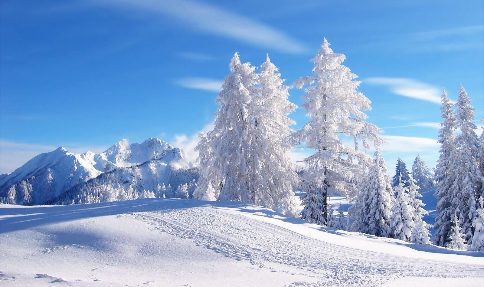 15 січня 2020 свято – яке свято, що не можна робити 15 січня 2020 свято – яке свято, що не можна робити