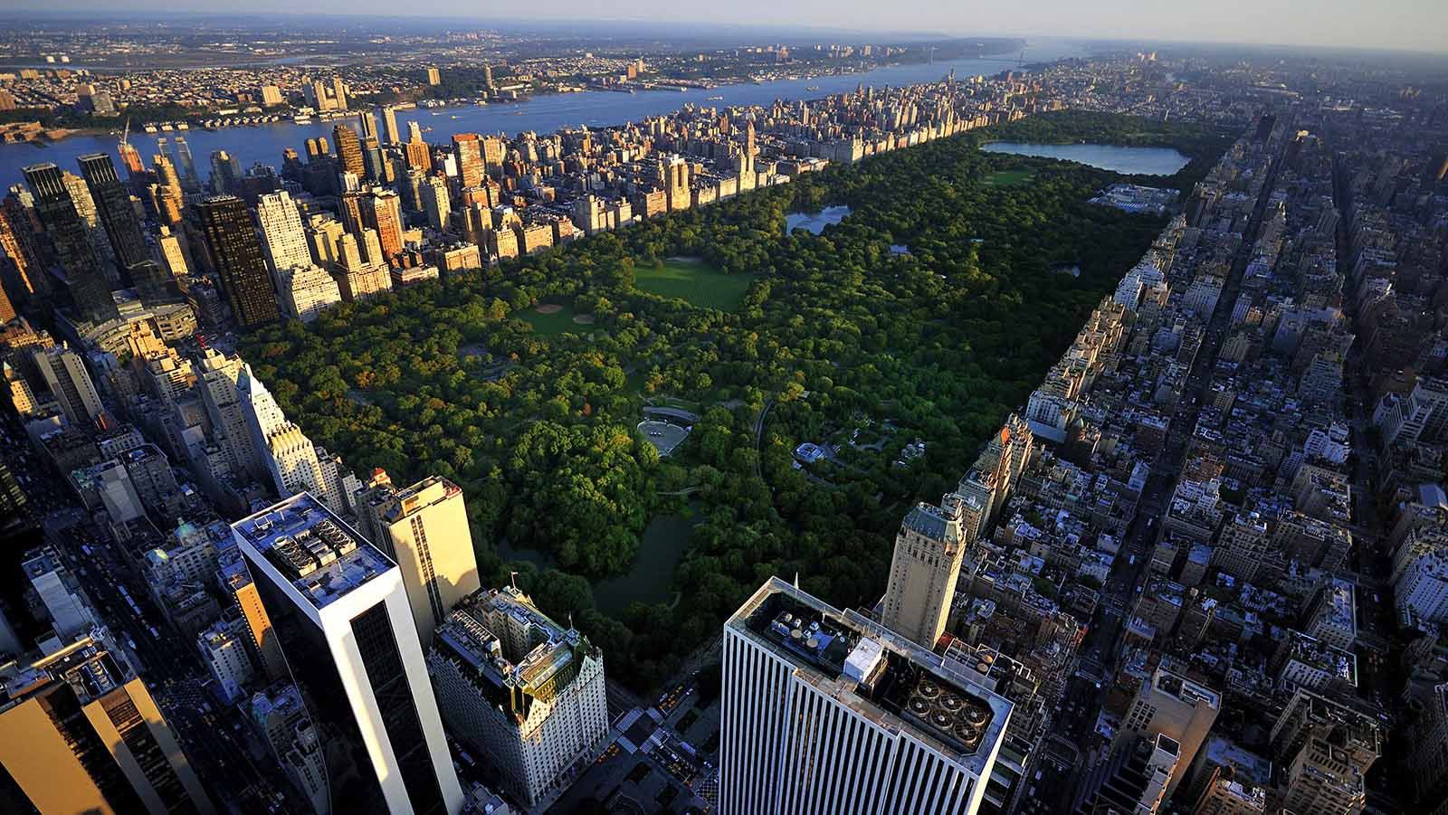 Пентхаус з виглядом на Центральний парк в Нью-Йорку виставлений на продаж: фото