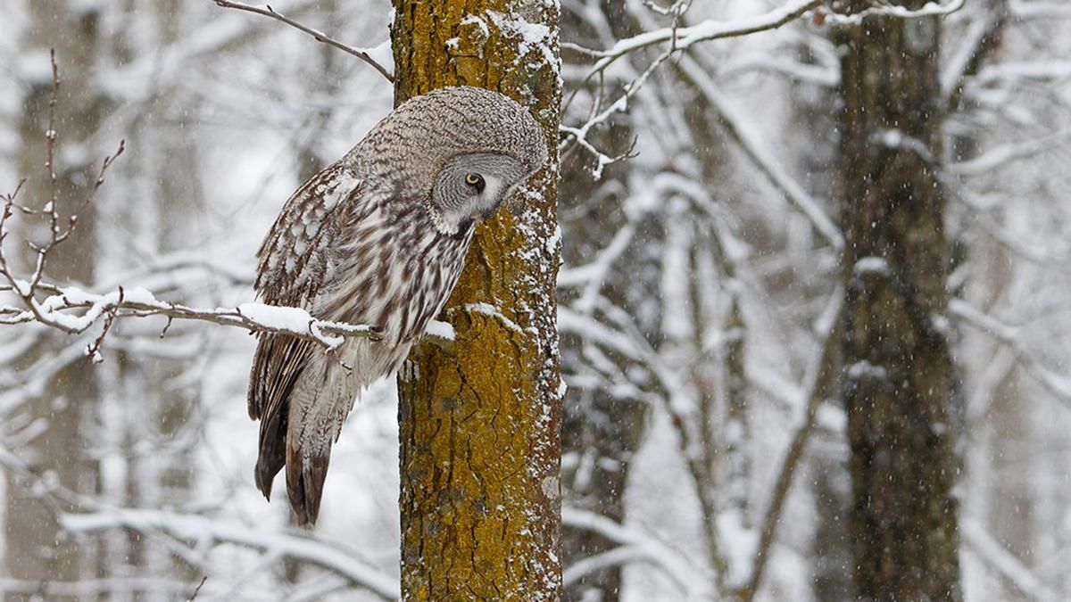 24 января 2020 праздник – какой праздник и что нельзя 24 января 2020 праздник – какой праздник и что нельзя