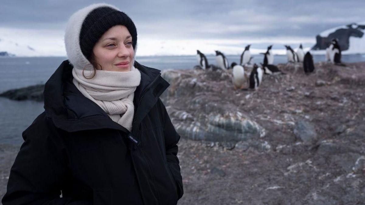 Марион Котийяр отправилась в Антарктиду: цель поездки