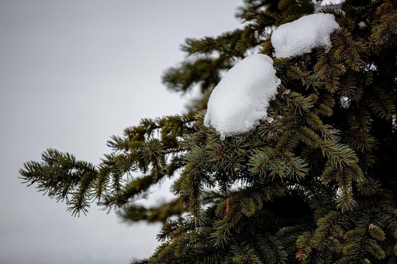 7 лютого 2020 свято – яке свято, що не можна робити 7 лютого 2020 свято – яке свято, що не можна робити