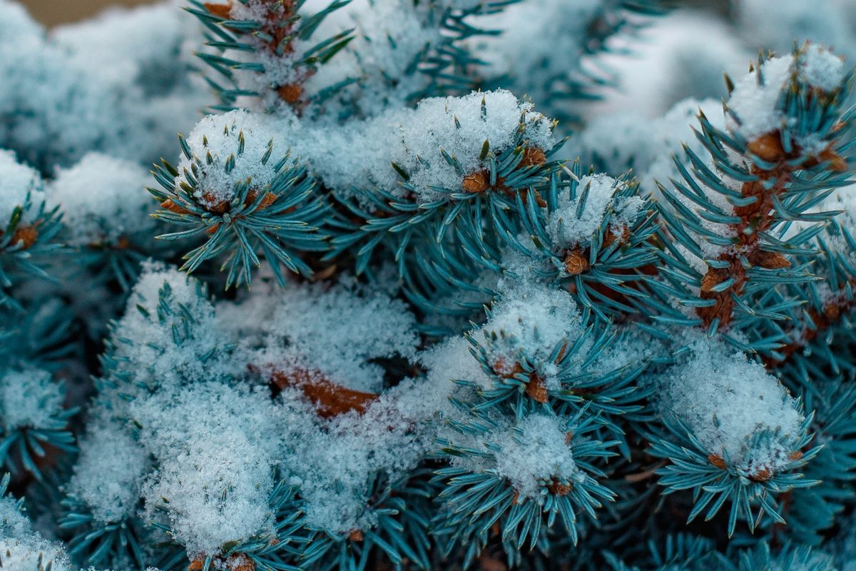 8 лютого 2020 свято – яке свято, що не можна робити 8 лютого 2020 свято – яке свято, що не можна робити