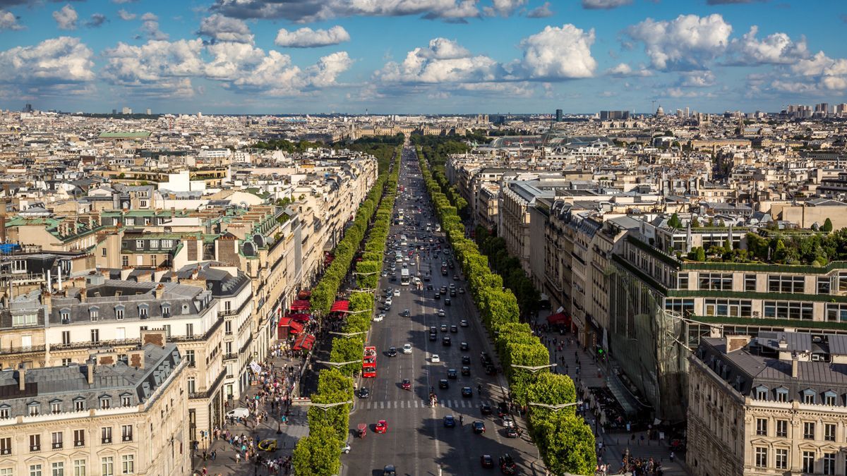 Во Франции все государственные здания будут наполовину строиться из дерева – фото проектов