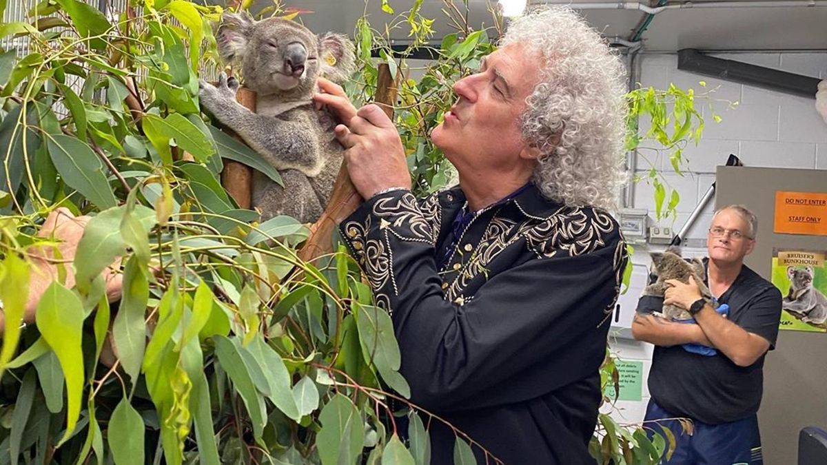 Гитарист Queen Брайан Мэй сыграл для коалы: трогательное видео покорило сеть