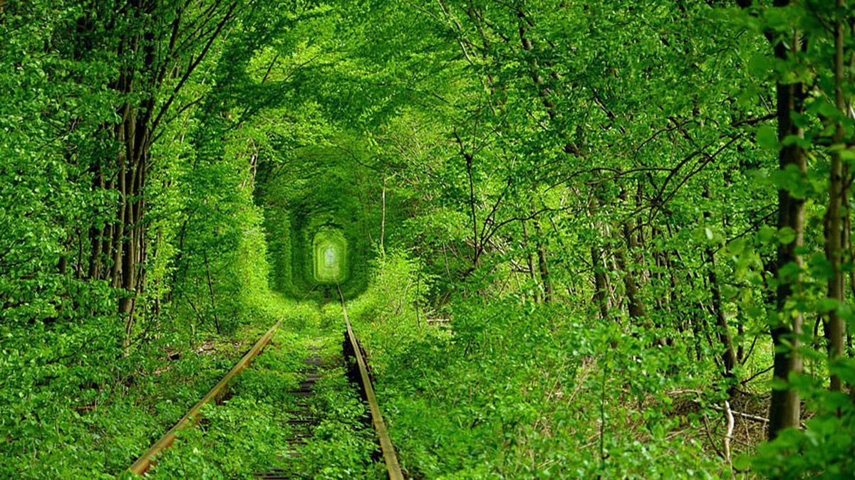 Український Тунель кохання очолив рейтинг найромантичніших місць світу за версією Daily Mail Український Тунель кохання очолив рейтинг найромантичніших місць світу за версією Daily Mail