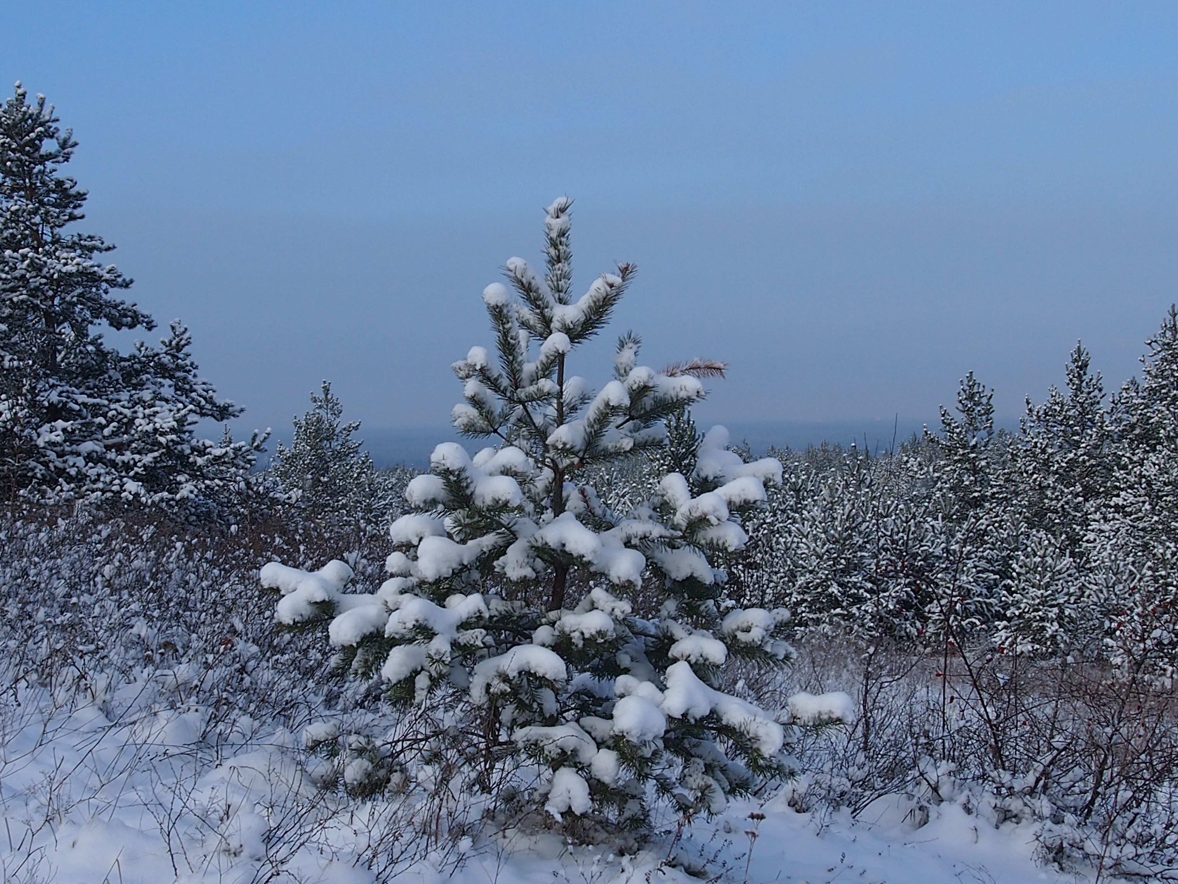 20 февраля 2020 праздник – какой праздник и что нельзя делать 20 февраля 2020 праздник – какой праздник и что нельзя делать