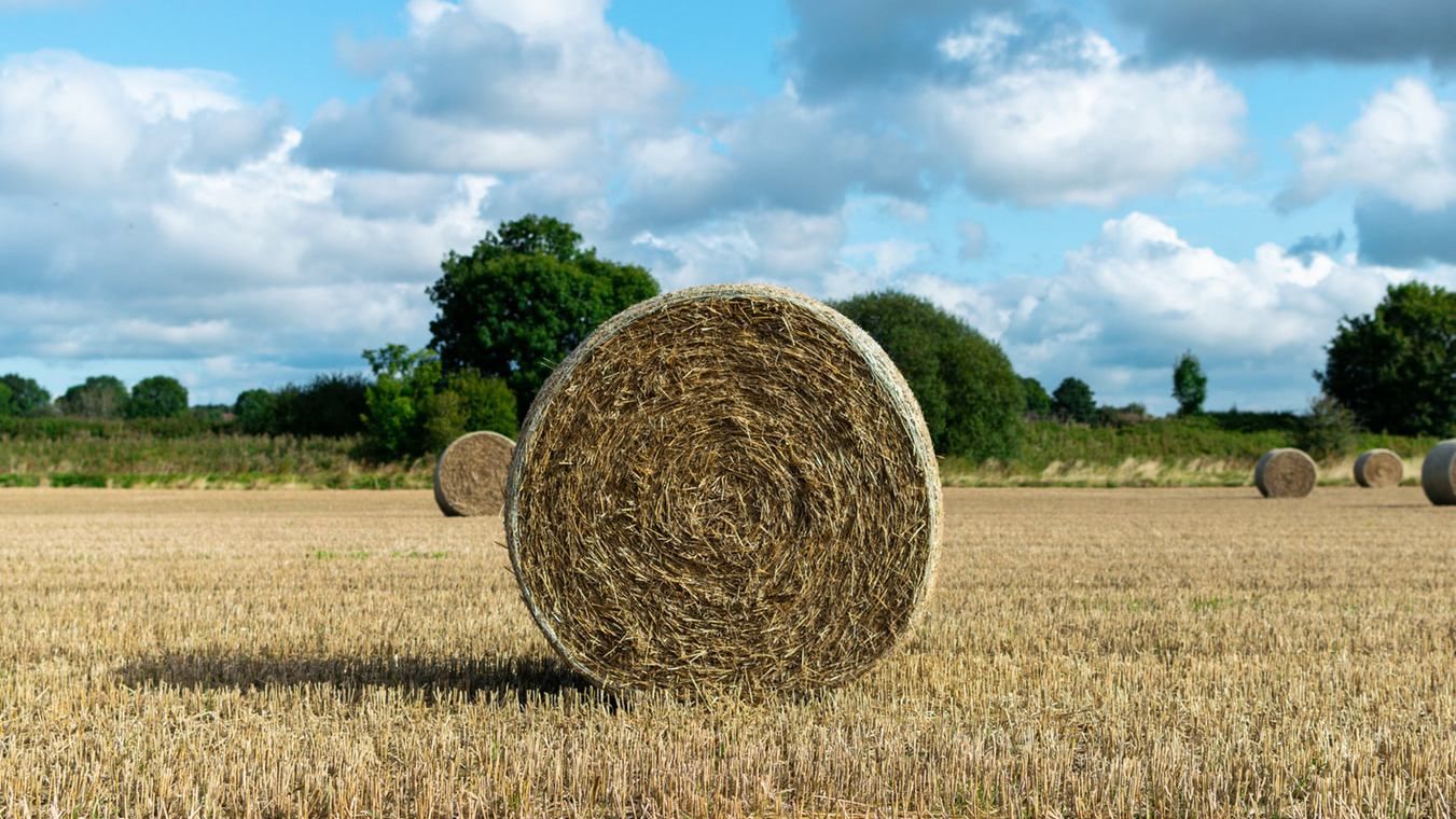 Для уединения: в Великобритании построили соломенный дом – фото Для уединения: в Великобритании построили соломенный дом – фото