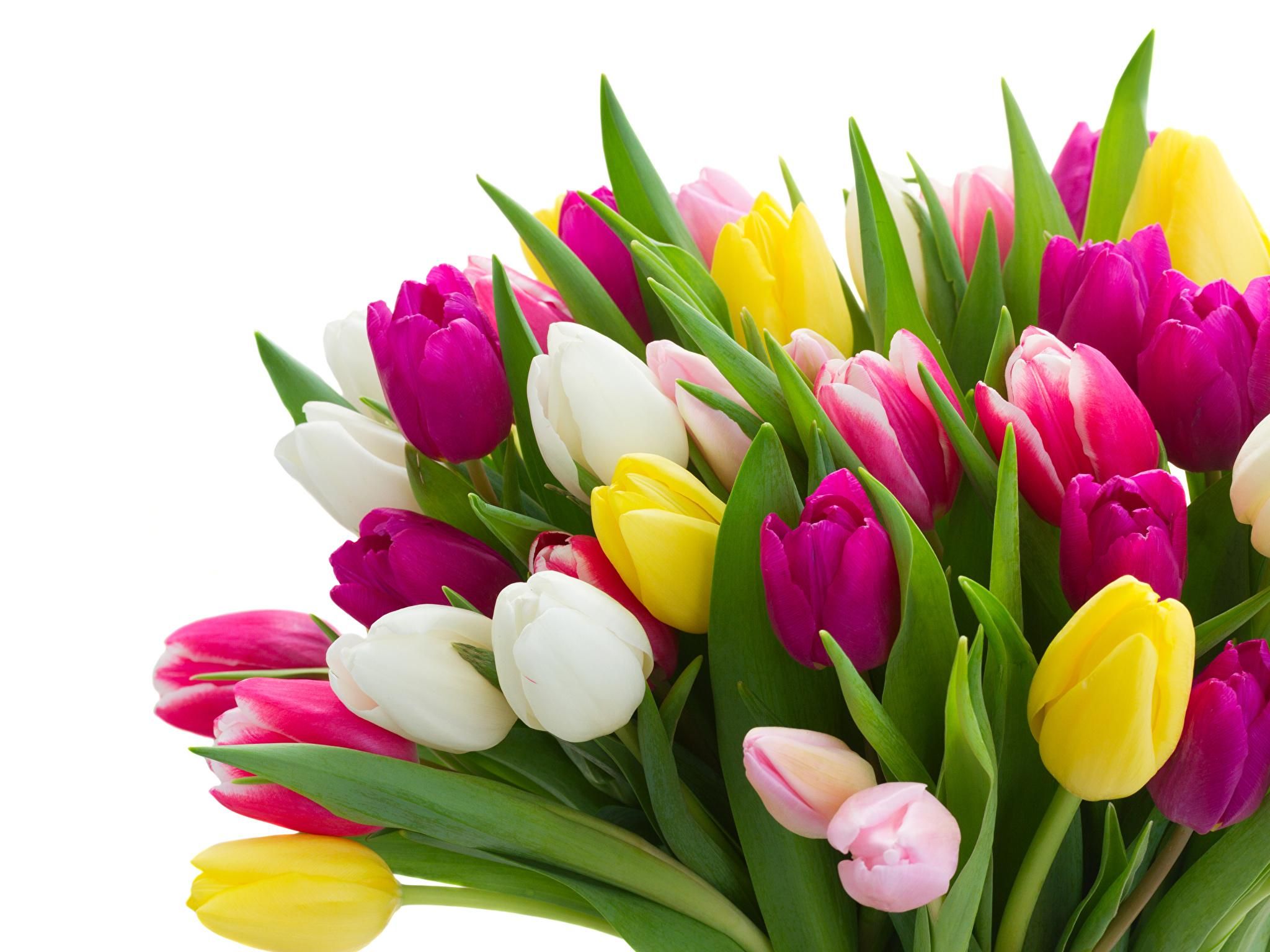 Вихідні у березні 2020 на Україні – як відпочиваємо у березні Вихідні у березні 2020 на Україні – як відпочиваємо у березні