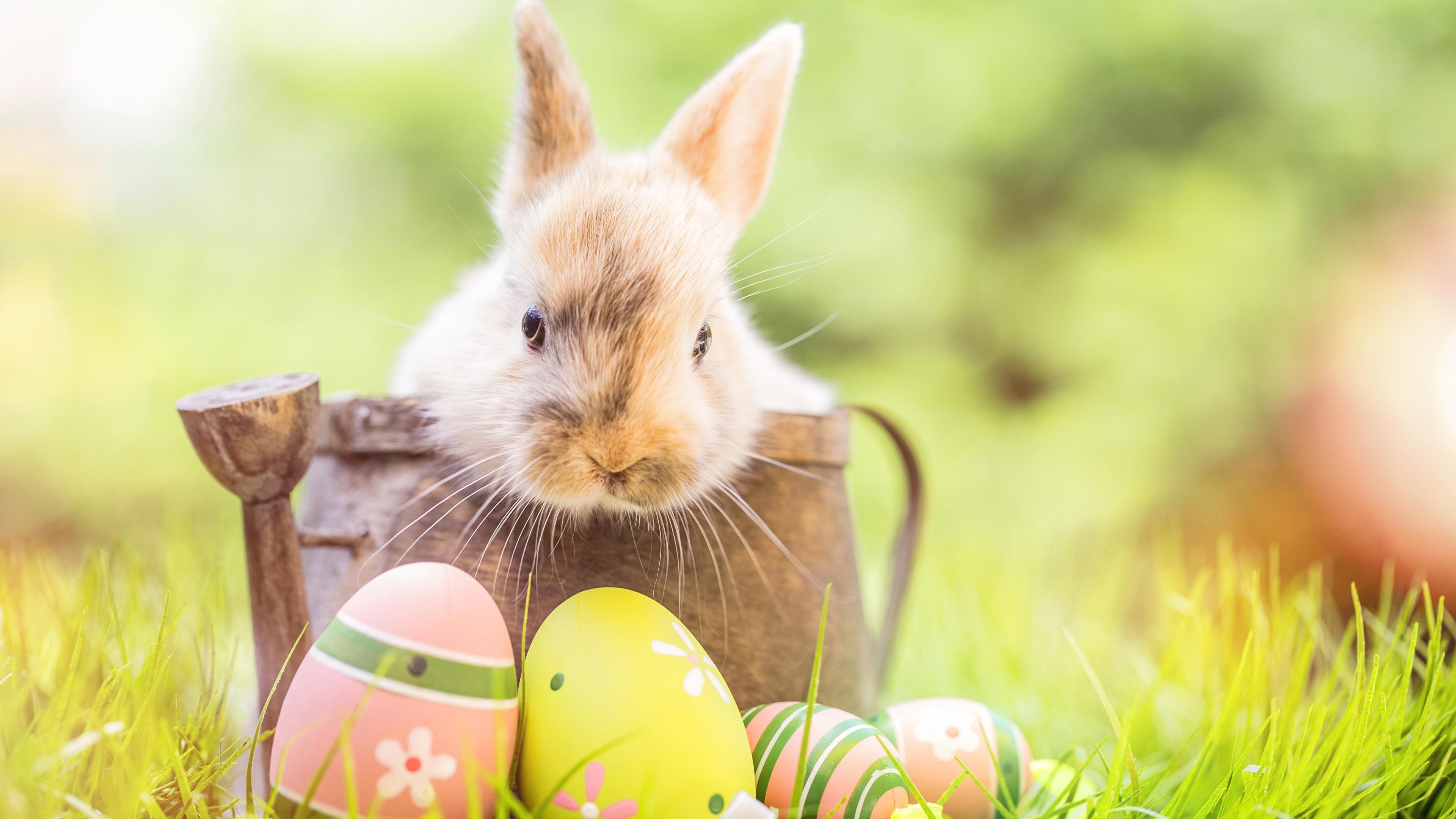 Вихідні на Великдень 2020 Україна – вихідні дні у квітні 2020 на Пасху Вихідні на Великдень 2020 Україна – вихідні дні у квітні 2020 на Пасху