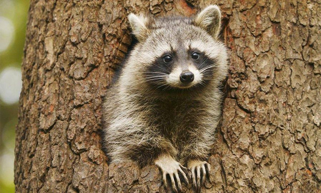 5 березня 2020 свято – яке свято, що не можна робити 5 березня 2020 свято – яке свято, що не можна робити