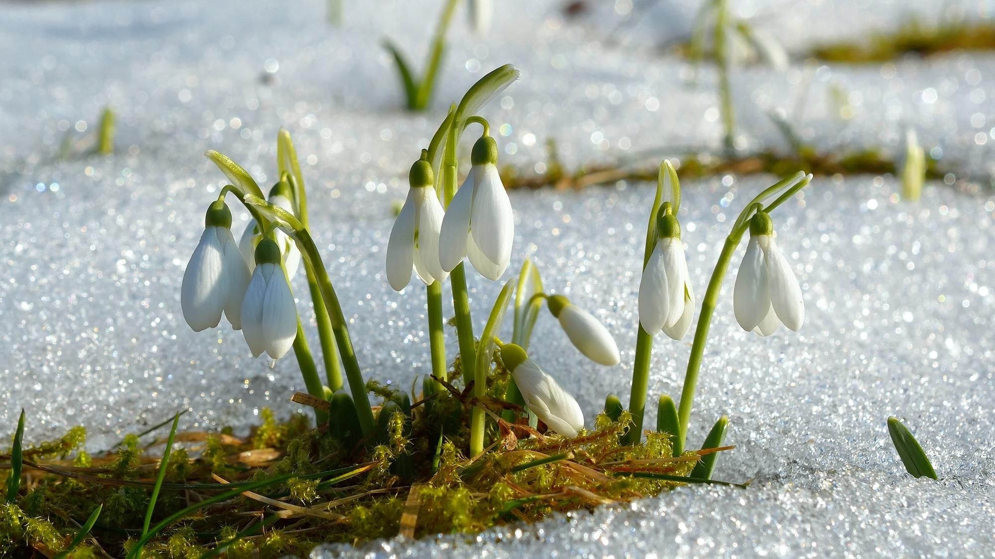 13 марта 2020 праздник – какой праздник и что нельзя делать 13 марта 2020 праздник – какой праздник и что нельзя делать