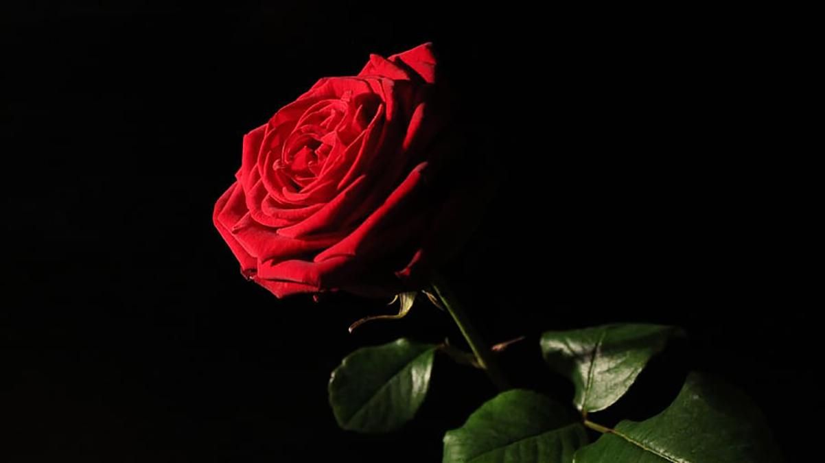 Холостяк 10 сезон 2 випуск – дивитися онлайн хто пішов 13.03.2020 Холостяк 10 сезон 2 випуск – дивитися онлайн хто пішов 13.03.2020