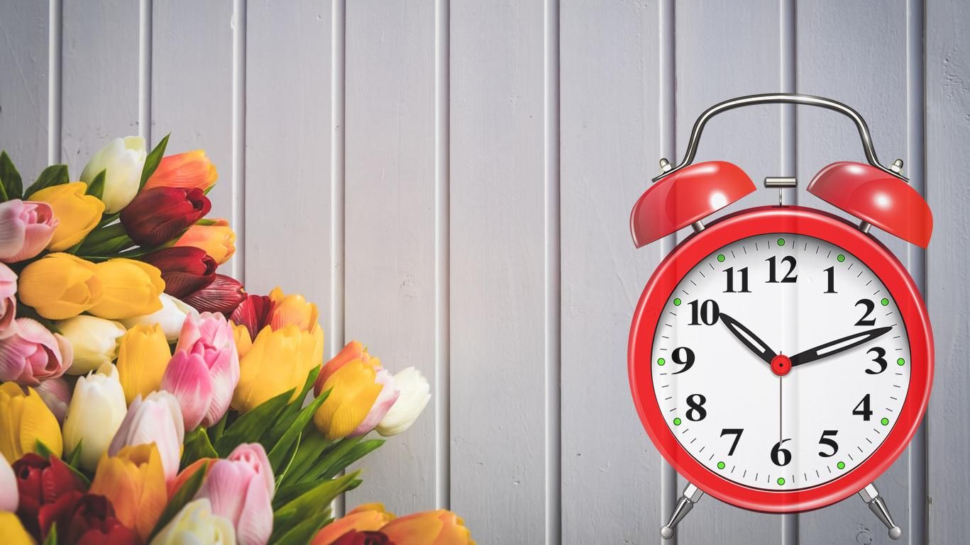 День весеннего равноденствия 2020 – что нужно делать, ритуалы День весеннего равноденствия 2020 – что нужно делать, ритуалы