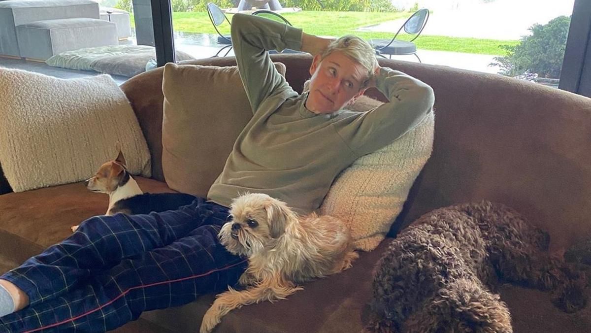 Еллен Дедженерес запустила блог на карантині: як розважитися під час самоізоляції Еллен Дедженерес запустила блог на карантині: як розважитися під час самоізоляції