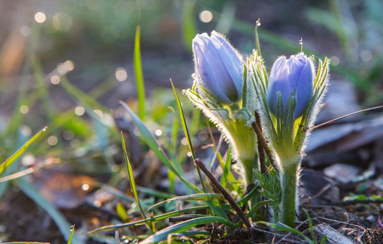 25 березня 2020 свято – яке свято, що не можна робити 25 березня 2020 свято – яке свято, що не можна робити