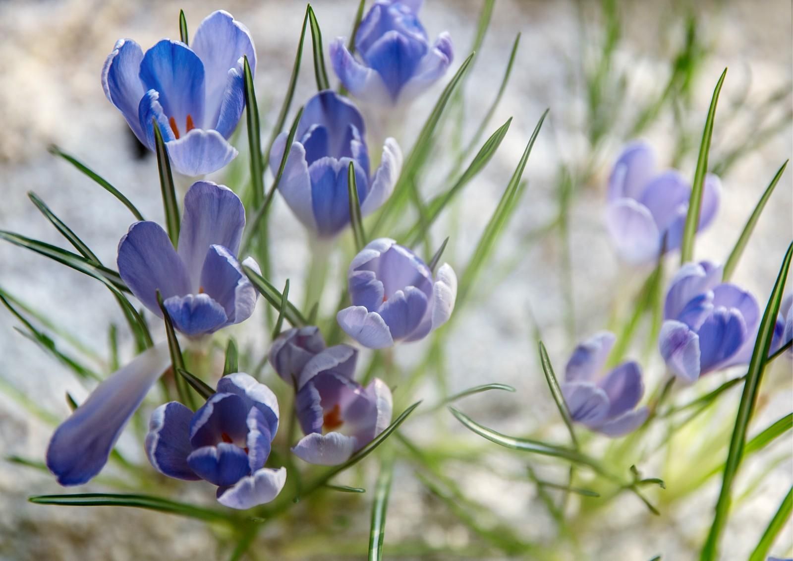 27 березня 2020 свято – яке свято, що не можна робити 27 березня 2020 свято – яке свято, що не можна робити