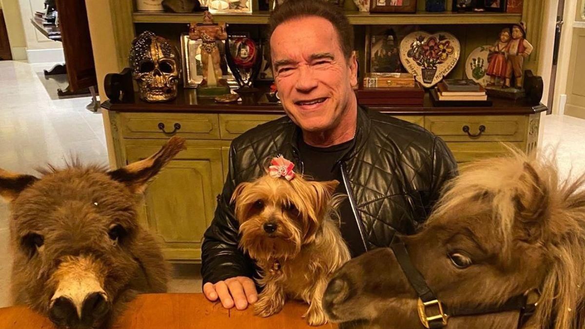 Арнольд Шварценеггер ест с пони и осликом из одной тарелки: смешное видео Арнольд Шварценеггер ест с пони и осликом из одной тарелки: смешное видео