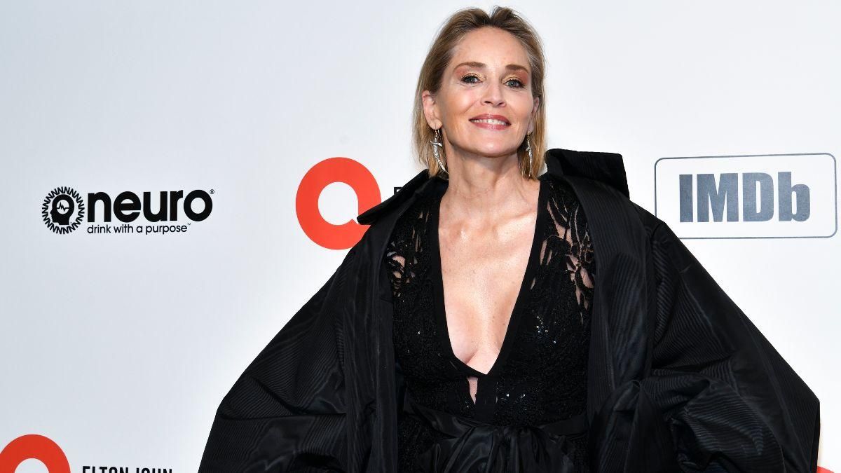 Шэрон Стоун на карантине занялась живописью: фото и видео Шэрон Стоун на карантине занялась живописью: фото и видео