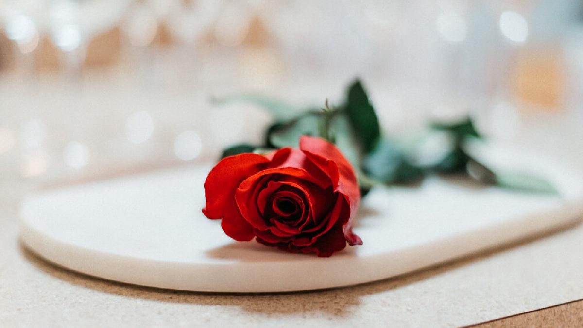 Холостяк 10 сезон 4 выпуск – смотреть онлайн ушедших 27.03.2020 Холостяк 10 сезон 4 выпуск – смотреть онлайн ушедших 27.03.2020