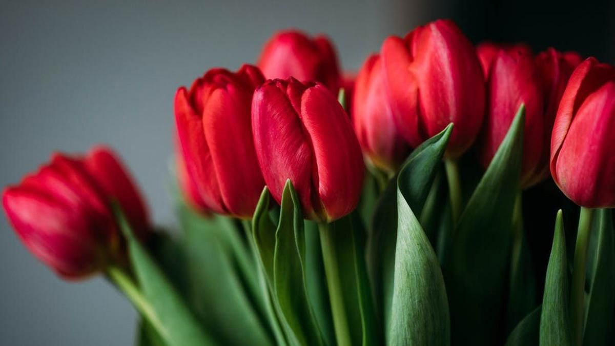 Выходные в апреле 2020 в Украине – как отдыхаем апрель Выходные в апреле 2020 в Украине – как отдыхаем апрель