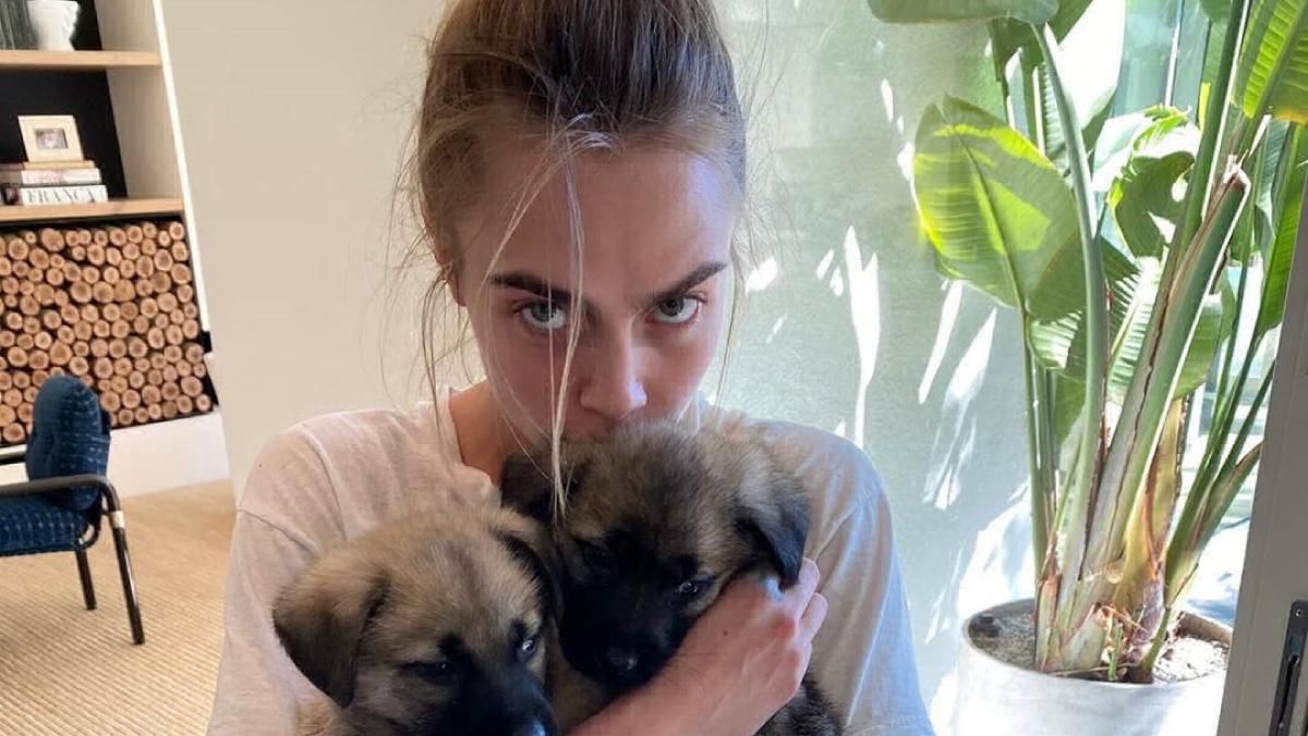 Кара Делевинь и Эшли Бенсон временно взяли двух щенков из приюта во время карантина Кара Делевинь и Эшли Бенсон временно взяли двух щенков из приюта во время карантина