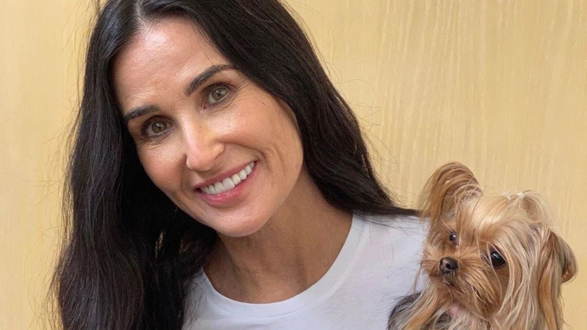 С собачкой на голове: Деми Мур рассмешила поклонников забавным фото С собачкой на голове: Деми Мур рассмешила поклонников забавным фото