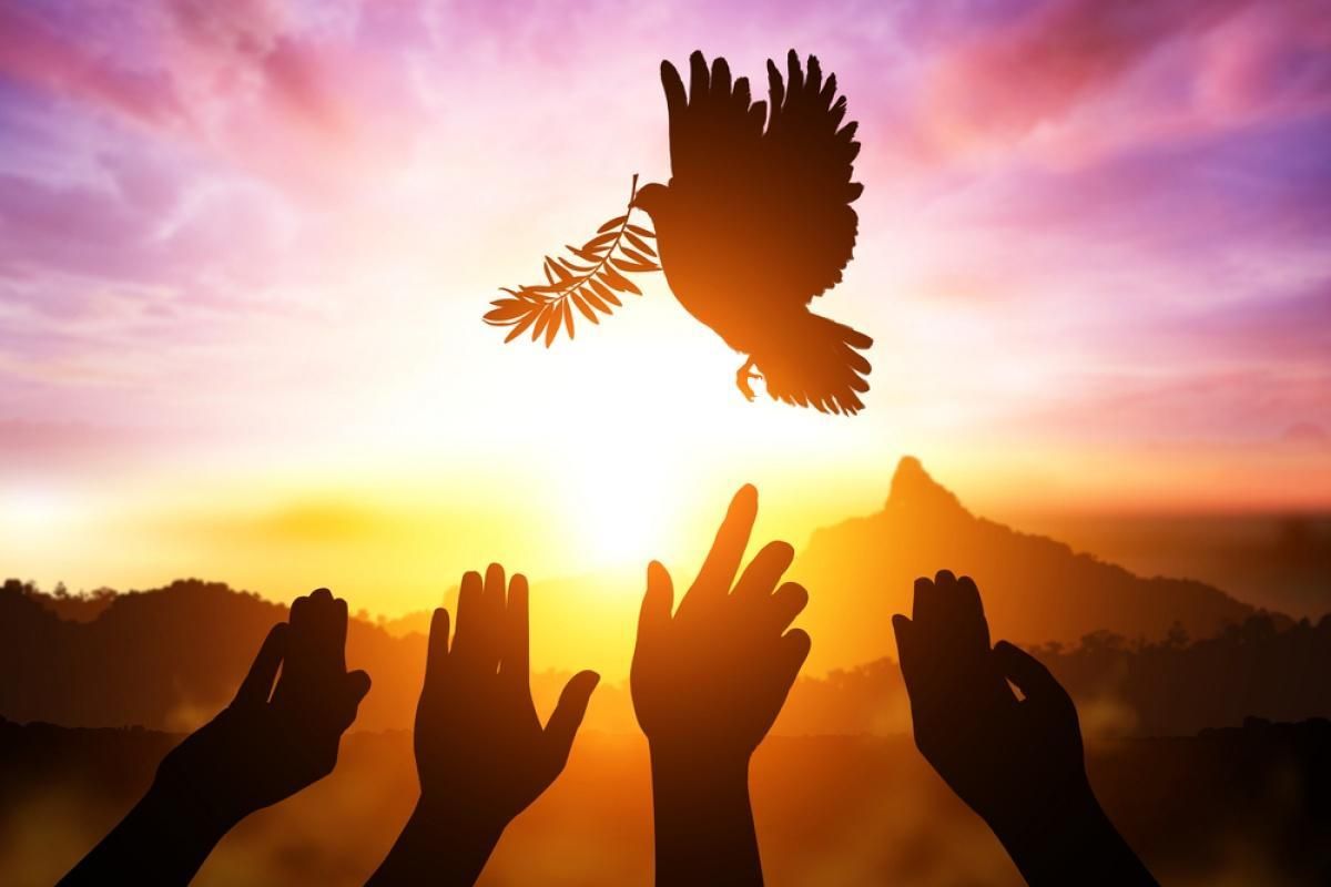 7 апреля 2020 праздник – какой праздник и что нельзя 7 апреля 2020 праздник – какой праздник и что нельзя