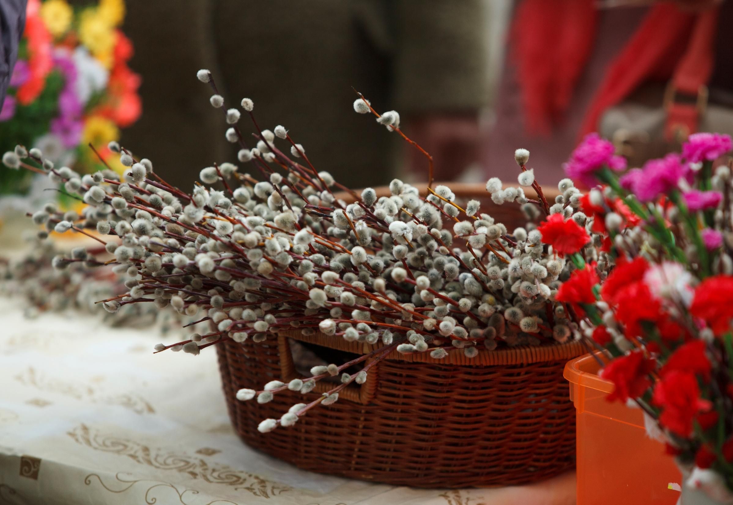 Когда Вербное воскресенье в 2020 году – дата праздника в Украине Когда Вербное воскресенье в 2020 году – дата праздника в Украине