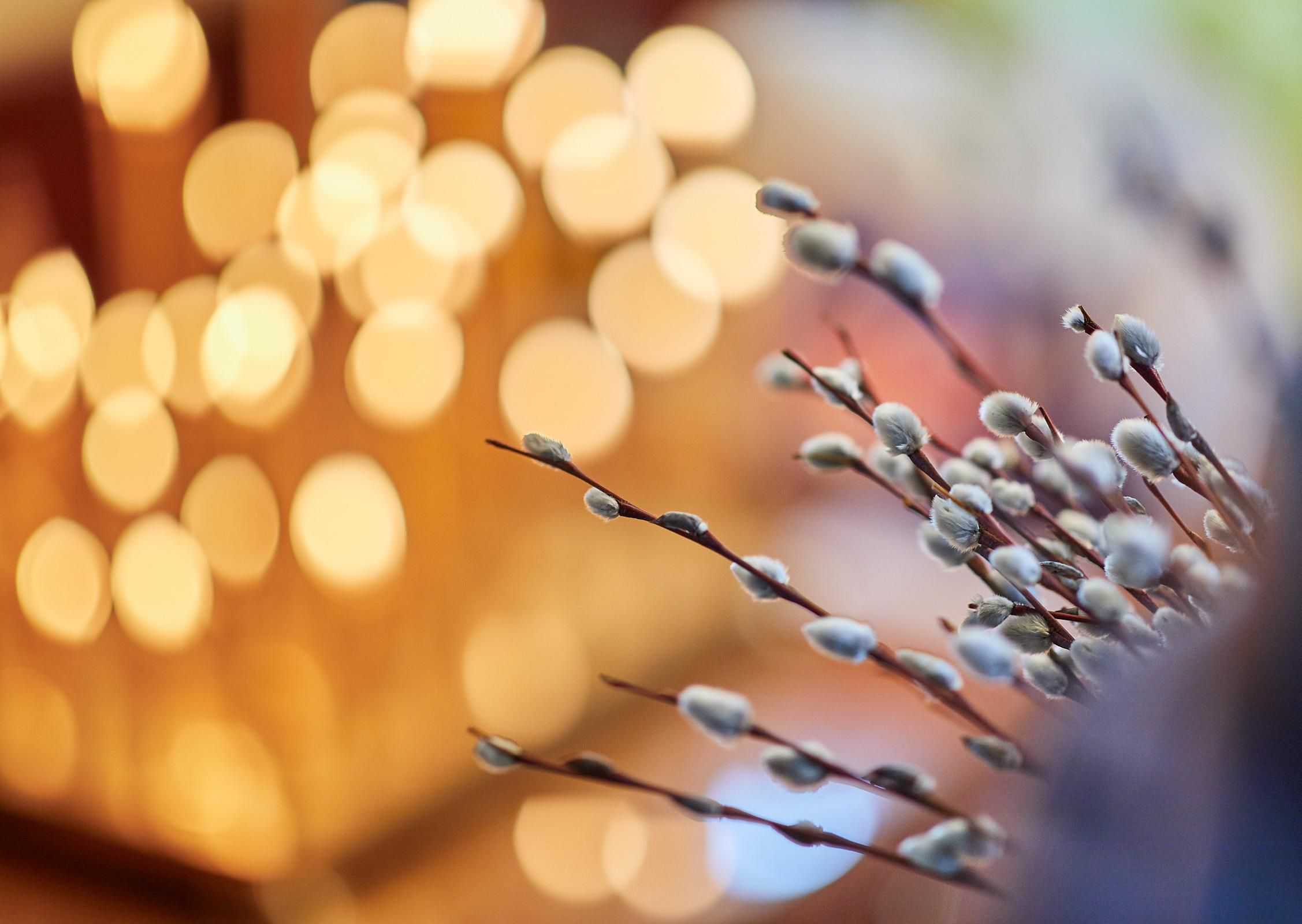 12 квітня 2020 свято – яке свято, що не можна робити 12 квітня 2020 свято – яке свято, що не можна робити