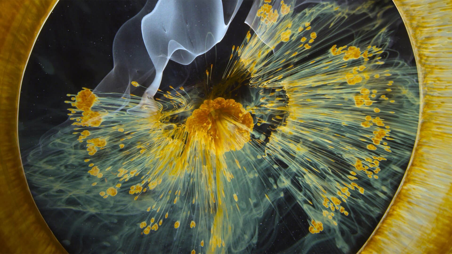 "Мандрівка часу": документальний фільм без пояснень "Мандрівка часу": документальний фільм без пояснень