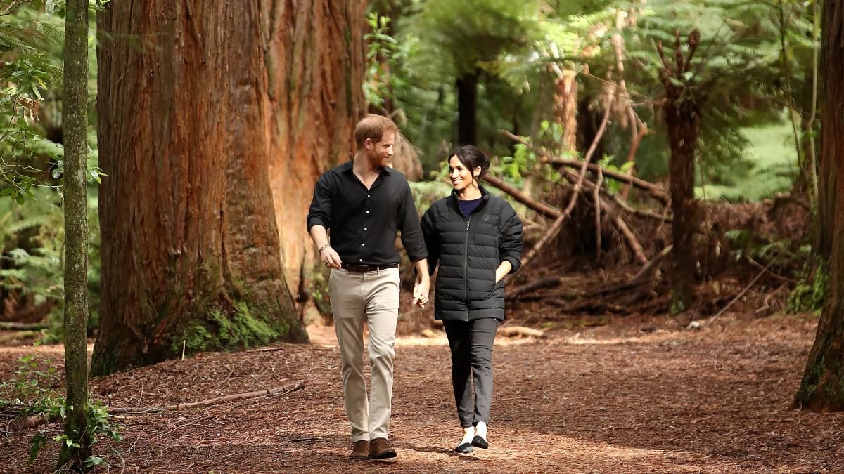 Очередной переезд: принц Гарри согласился жить с матерью Меган Маркл Очередной переезд: принц Гарри согласился жить с матерью Меган Маркл