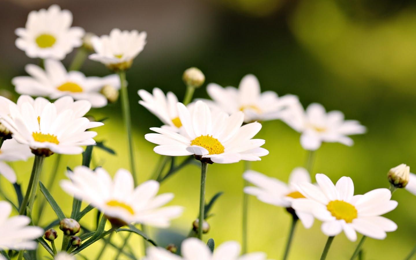 10 мая 2020 праздник – какой праздник и что нельзя 10 мая 2020 праздник – какой праздник и что нельзя