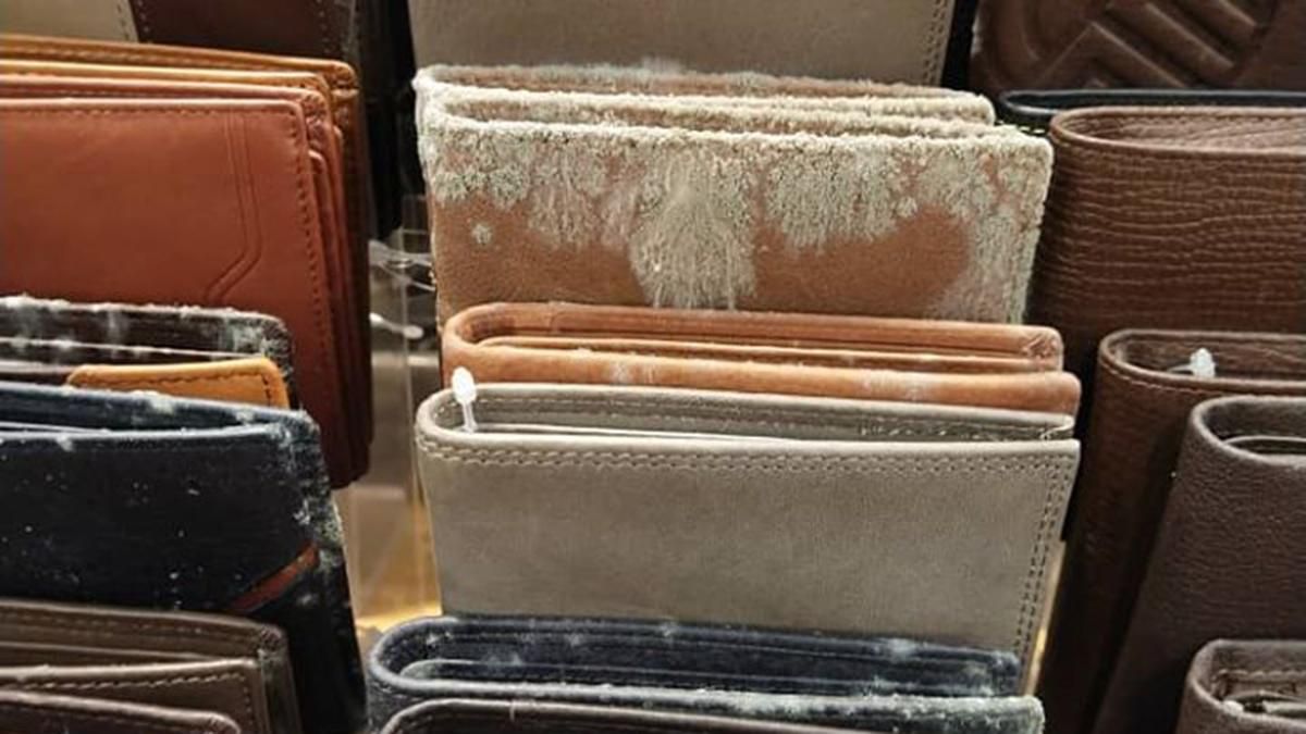 Шкіряні вироби вкрилися пліснявою в малайзійському ТЦ: вражаючі фото наслідків карантину Шкіряні вироби вкрилися пліснявою в малайзійському ТЦ: вражаючі фото наслідків карантину