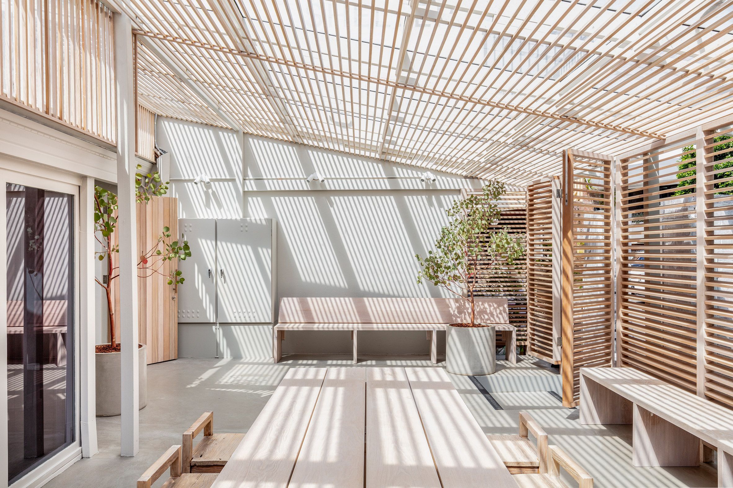 Інтер'єри з кедра та евкаліпта: фото екологічного спа-центру в Австралії Інтер'єри з кедра та евкаліпта: фото екологічного спа-центру в Австралії