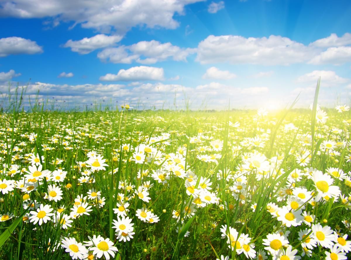 1 июня 2020 праздник – какой праздник и что нельзя делать 1 июня 2020 праздник – какой праздник и что нельзя делать