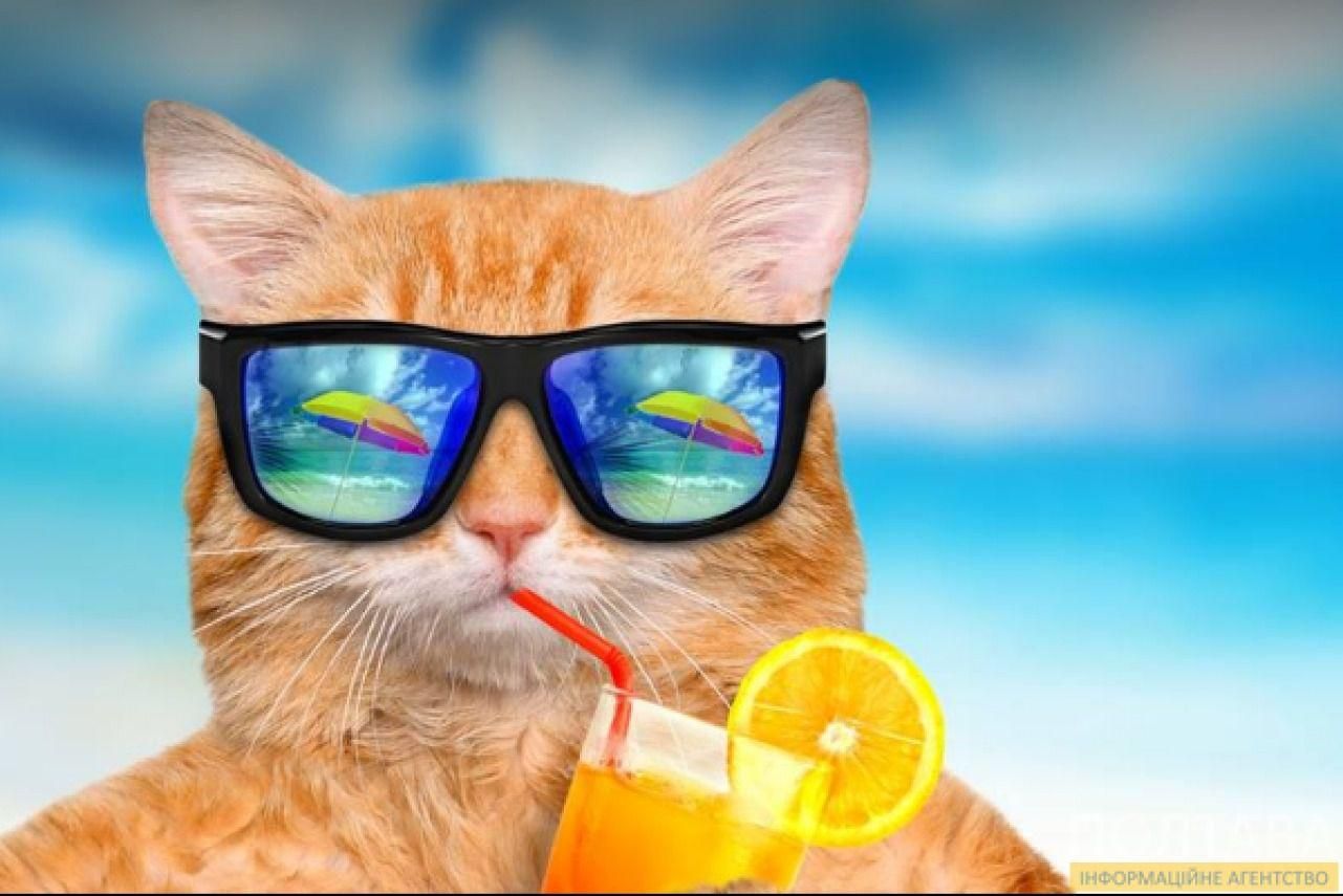 Картинки с первым днем лета 2020 – лучшие поздравления Картинки с первым днем лета 2020 – лучшие поздравления