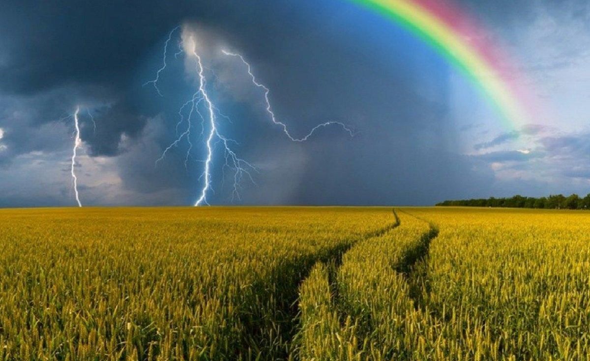 11 червня 2020 – яке свято, що не можна робити 11 червня 2020 – яке свято, що не можна робити