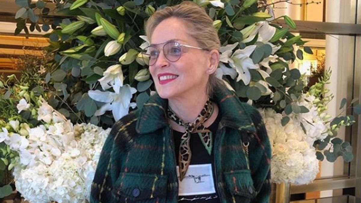 У Шерон Стоун вдарила блискавка: деталі У Шерон Стоун вдарила блискавка: деталі