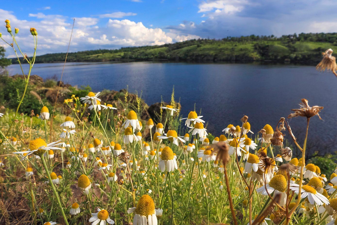 19 червня 2020 – яке свято, що не можна робити 19 червня 2020 – яке свято, що не можна робити