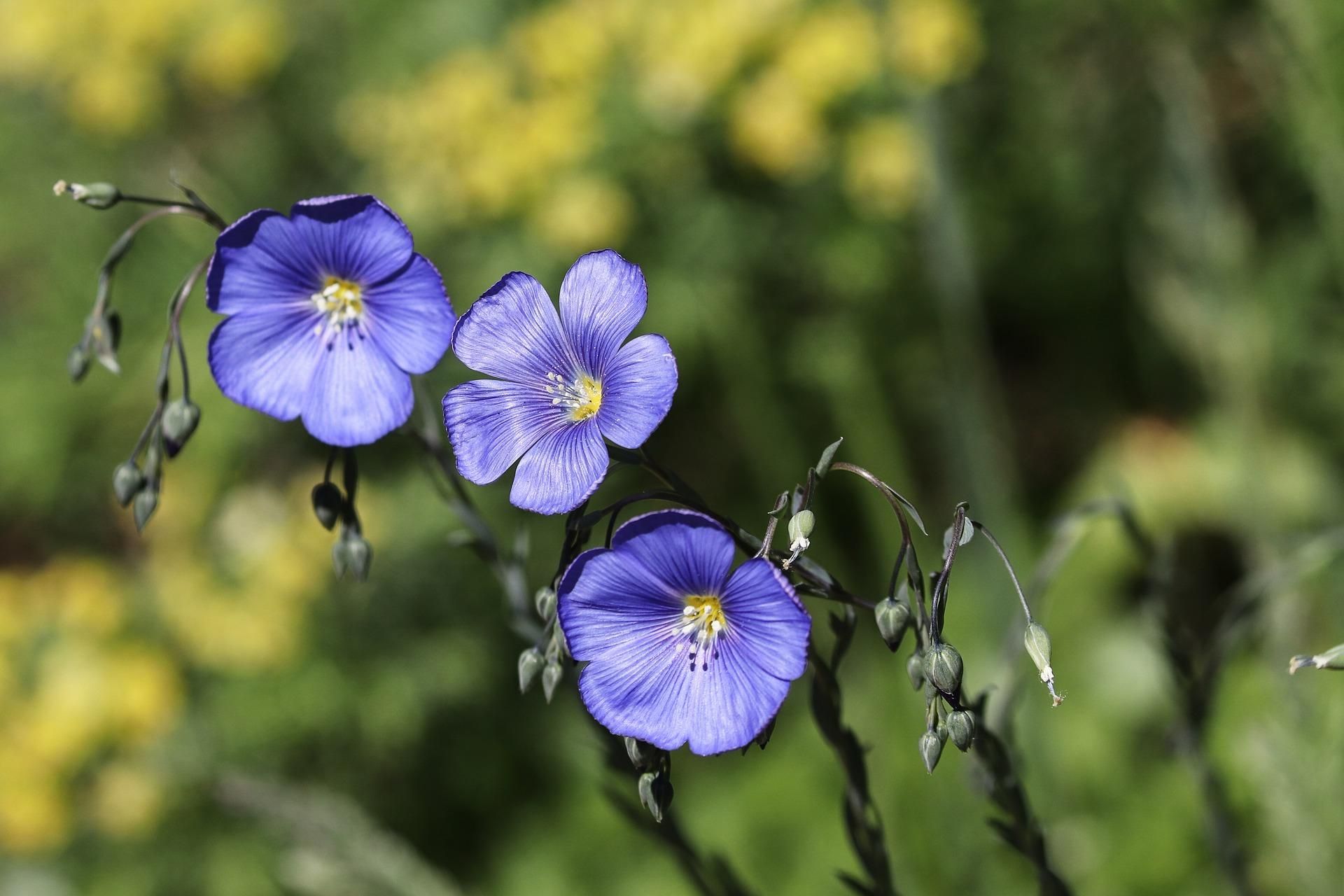 26 червня 2020 – яке свято, що не можна робити 26 червня 2020 – яке свято, що не можна робити