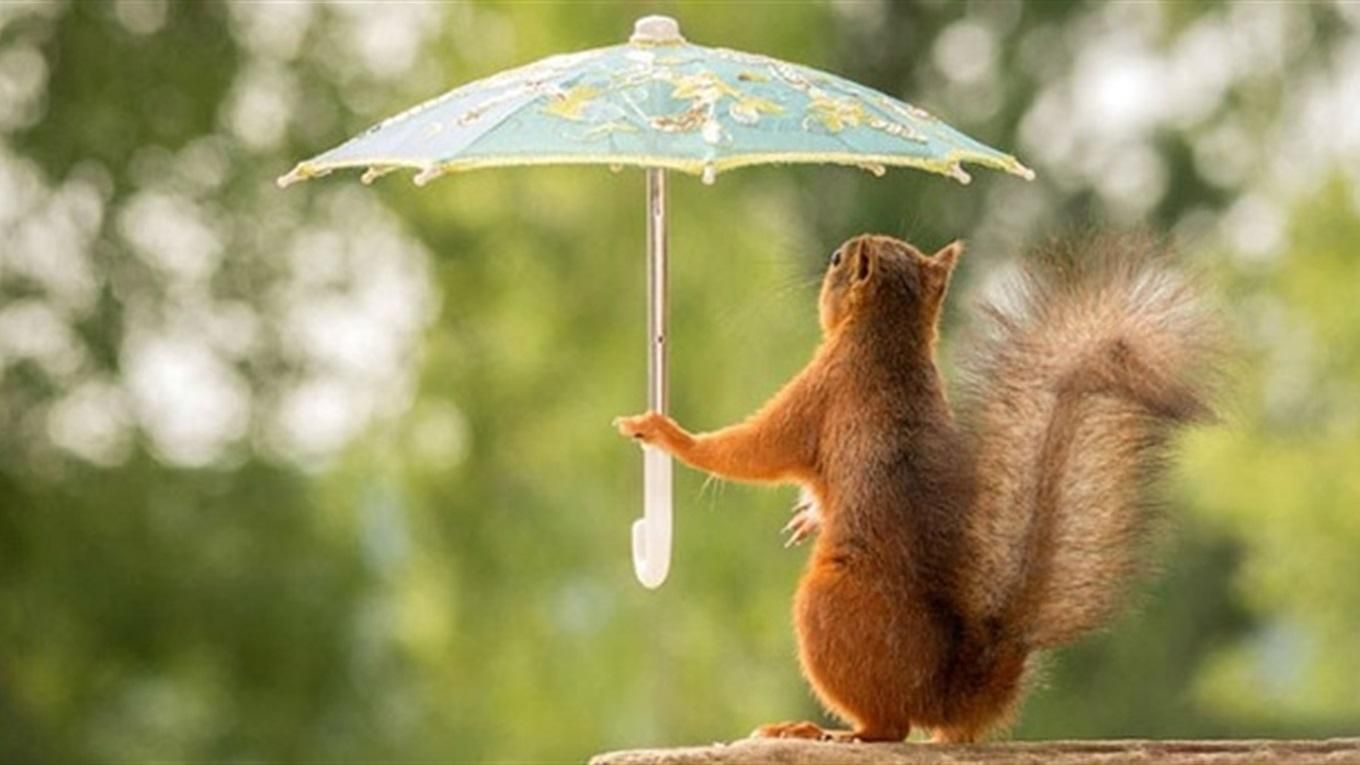 30 июня 2020 – какой праздник и что нельзя 30 июня 2020 – какой праздник и что нельзя