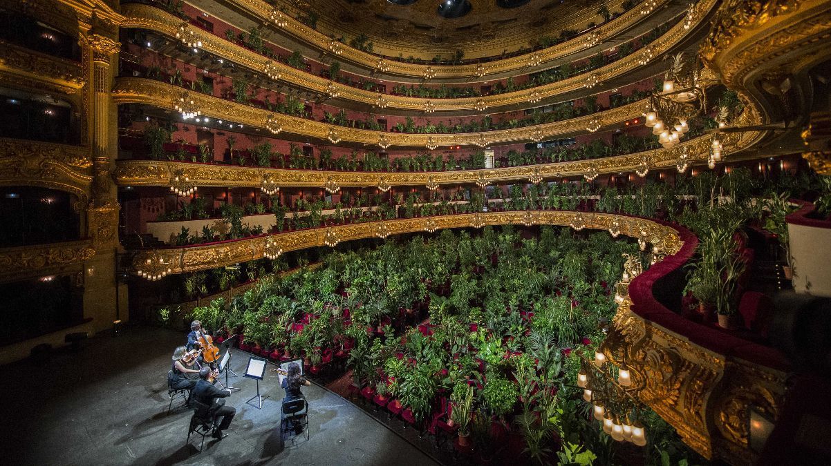 Оперный театр в Барселоне дал концерт для растений Оперный театр в Барселоне дал концерт для растений