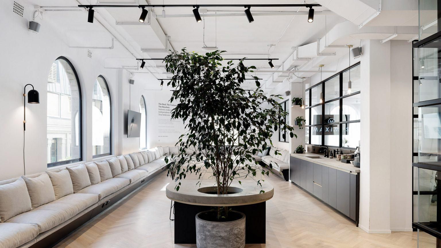 Среда, где компании процветают: фото современных и комфортных интерьеров для офисов Среда, где компании процветают: фото современных и комфортных интерьеров для офисов