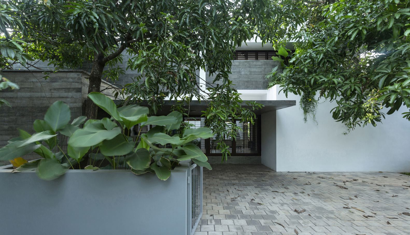 Квартира-джунгли – цветной дизайн для большой семьи в Индии: фото