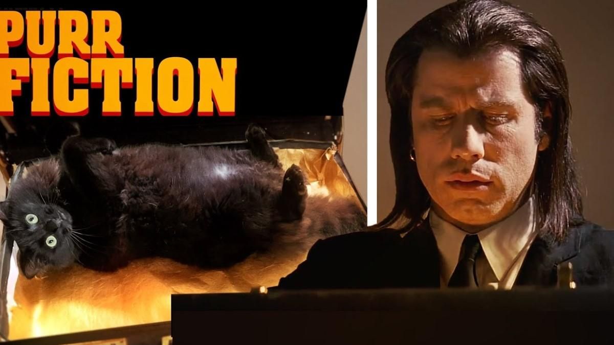 Пародия на "Криминальное чтиво" рассмешила сеть: курьезное видео с котом