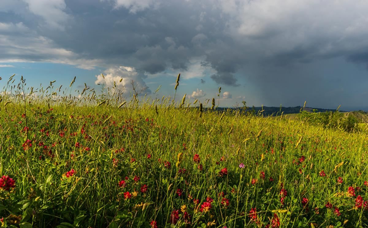 25 липня 2020 свято – яке свято, що не можна робити 25 липня 2020 свято – яке свято, що не можна робити