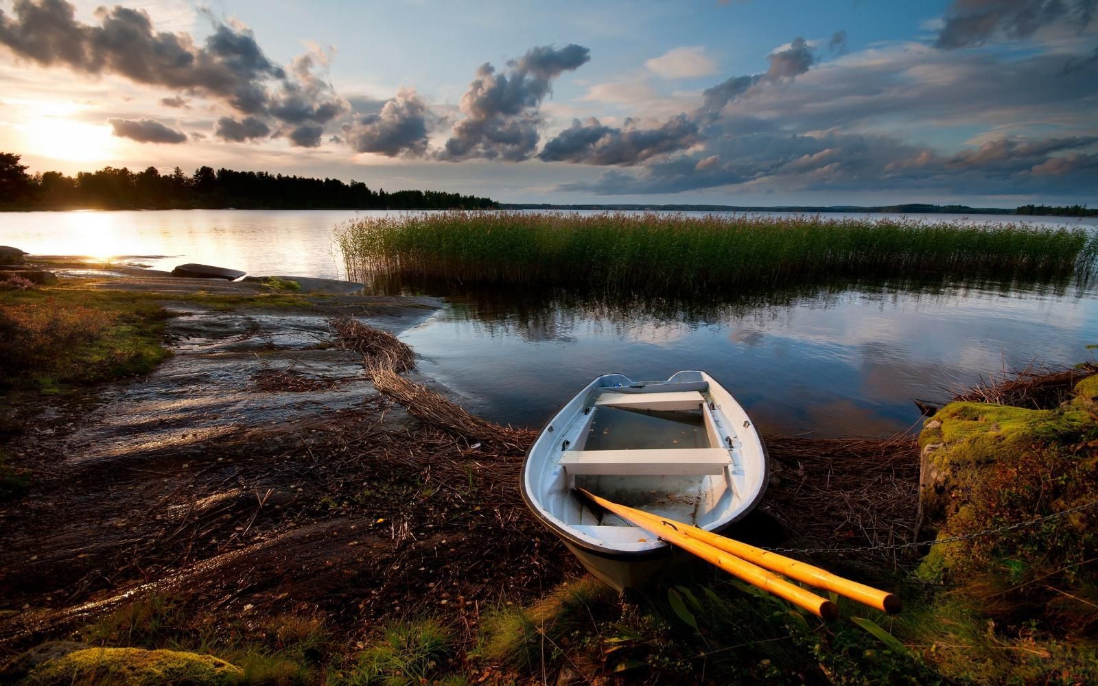 Відпочинок на Шацьких озерах– куди варто поїхати у відпустку, ціни, розваги