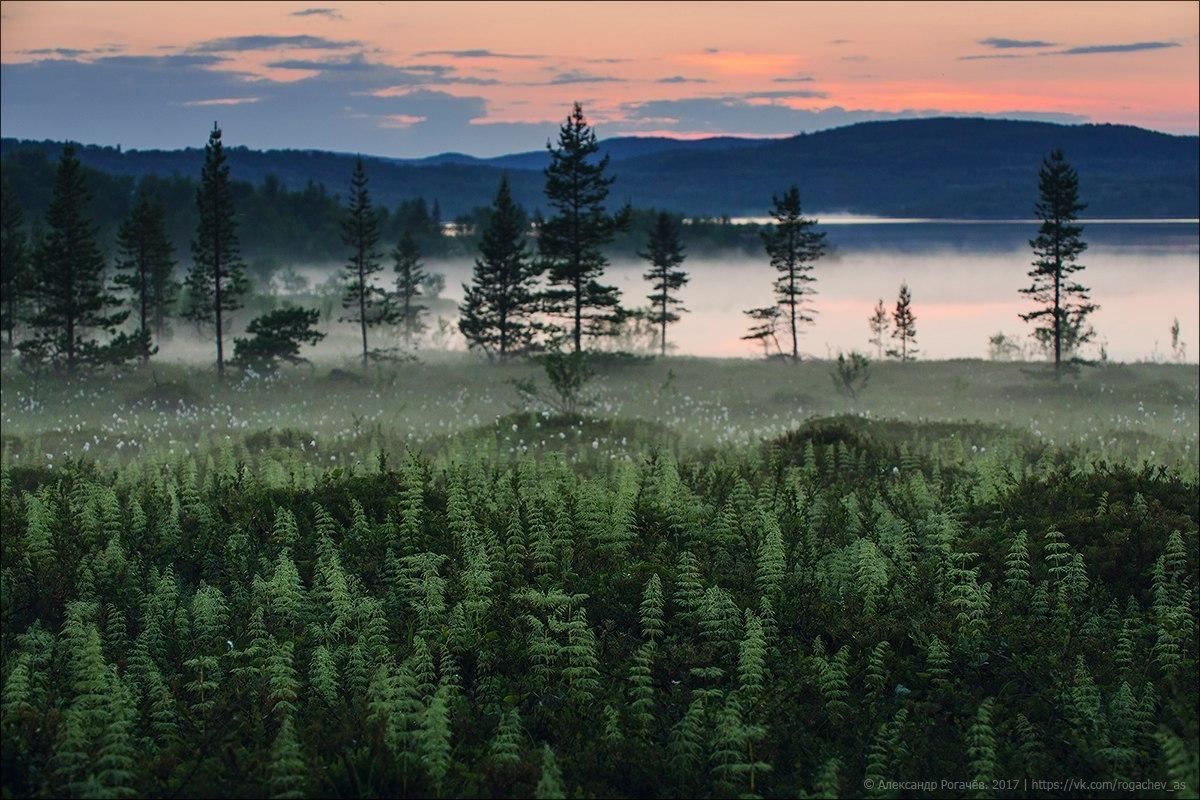 30 июля 2020 праздник – какой праздник и что нельзя 30 июля 2020 праздник – какой праздник и что нельзя