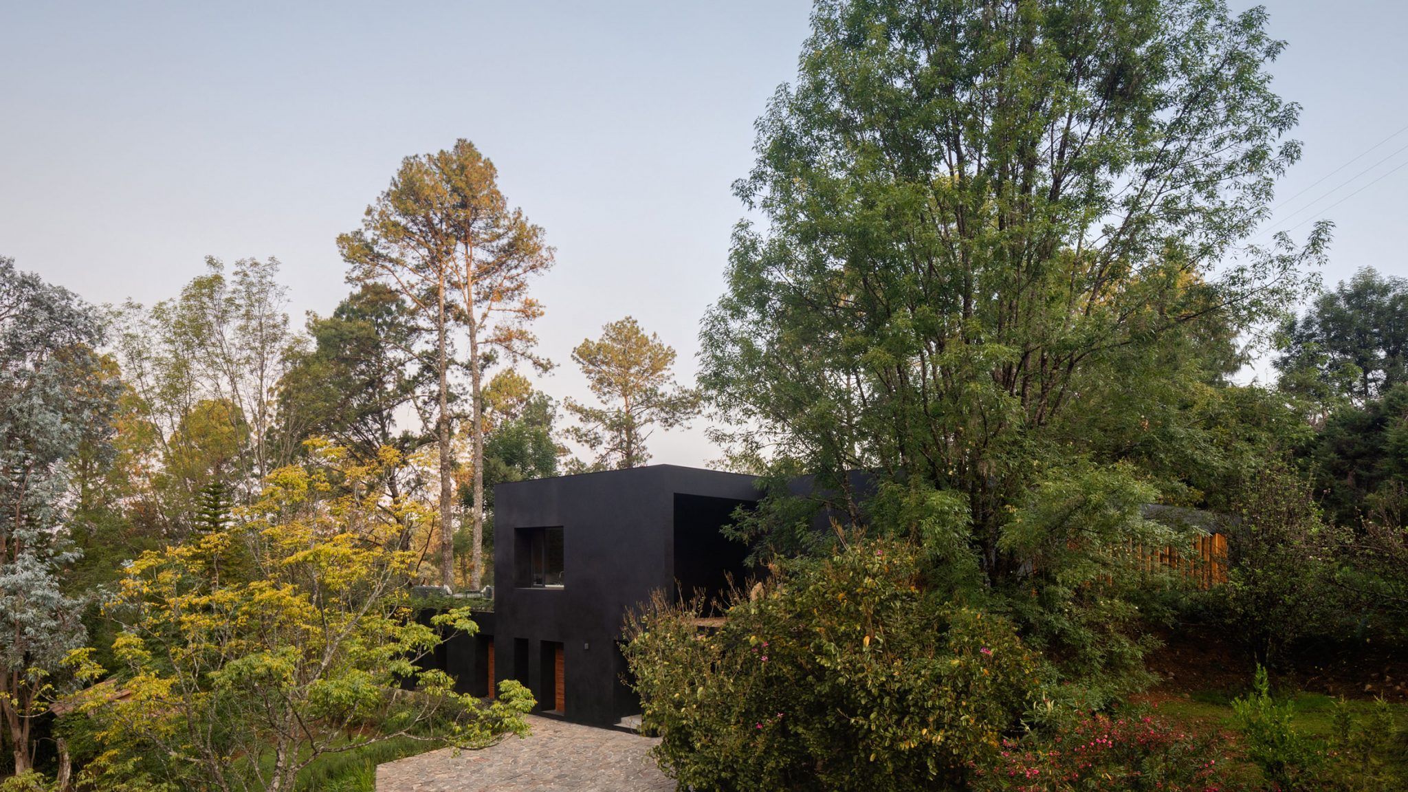Чорне на чорному: в Мексиці побудували повністю чорний будинок з білими інтер'єрами – фото 
