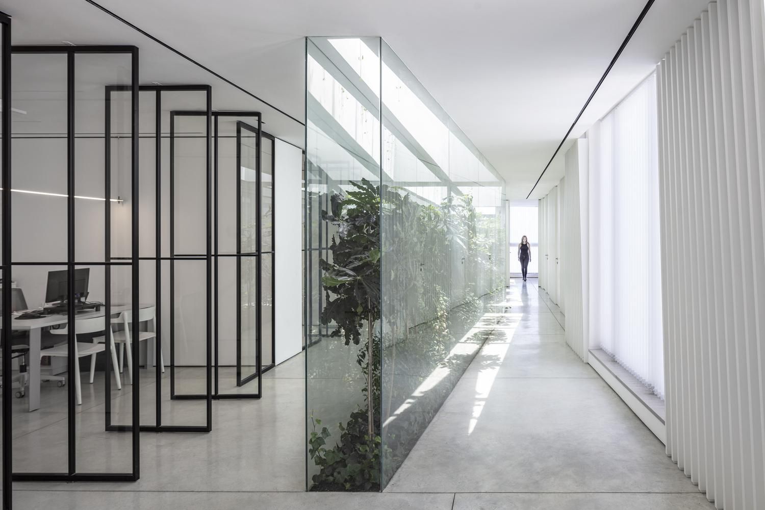 Стерильность и растения за стеклом: в Израиле обустроили современный офис посреди пустыни – фото Стерильность и растения за стеклом: в Израиле обустроили современный офис посреди пустыни – фото